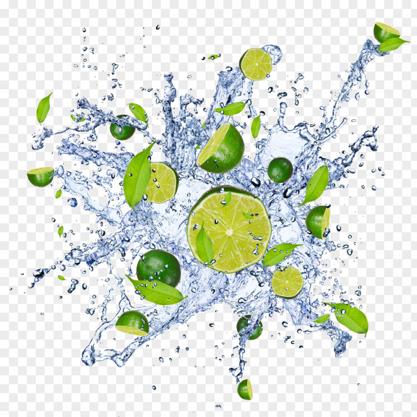 Water And Lemon Stock Photography Key Lime PNG