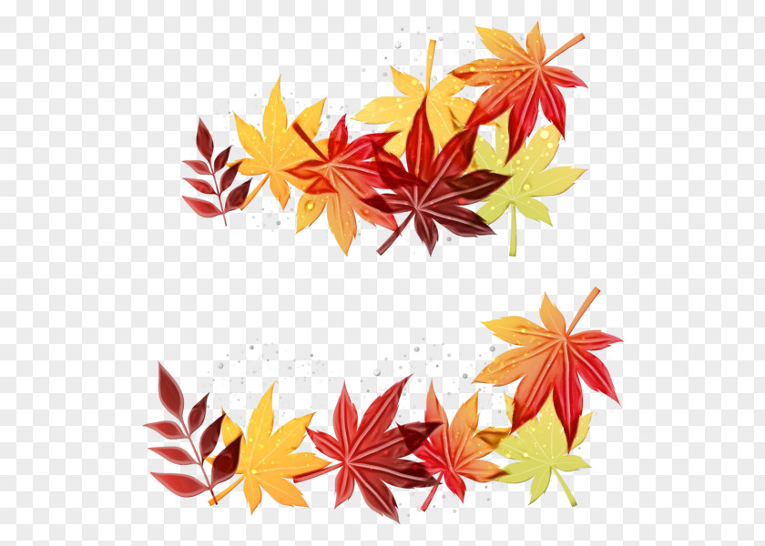 Autumn Flower Watercolor Background PNG