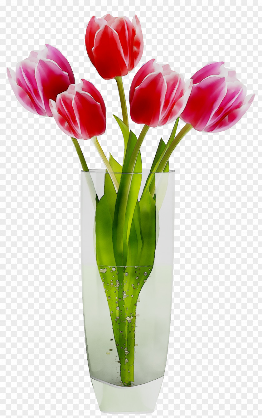 Flower Vases Flowers In Vase PNG