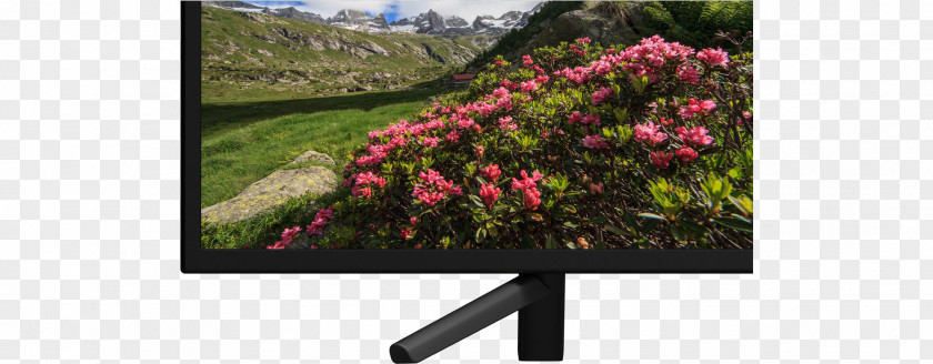 Sony Bravia Television Set LED-backlit LCD PNG