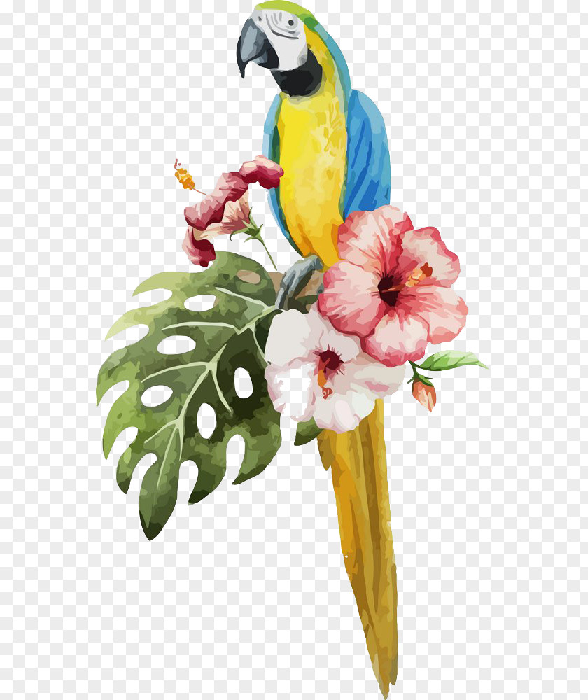 Watercolor Illustration Of Flowers Parrots Parrot Bird Painting PNG