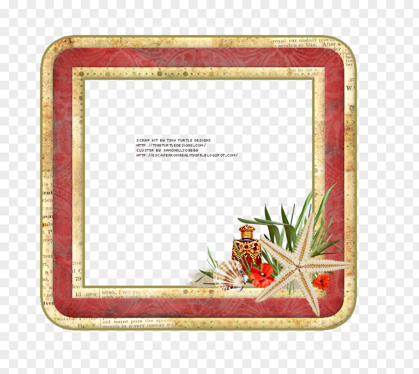 Beach Sunset Picture Frames Rectangle Font PNG