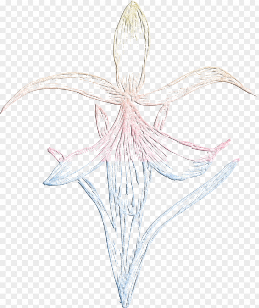 Delicate Flowers Petal Fairy Drawing Line Sketch PNG