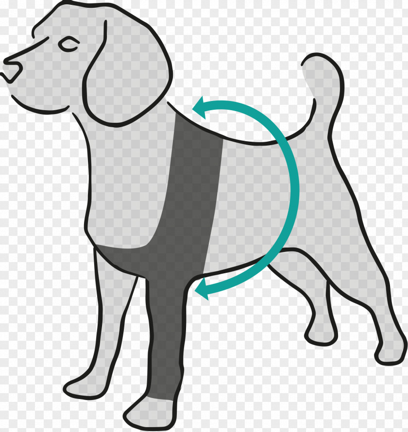 Dog Breed Amazon.com Suitical Recovery Sleeve Large Black PNG