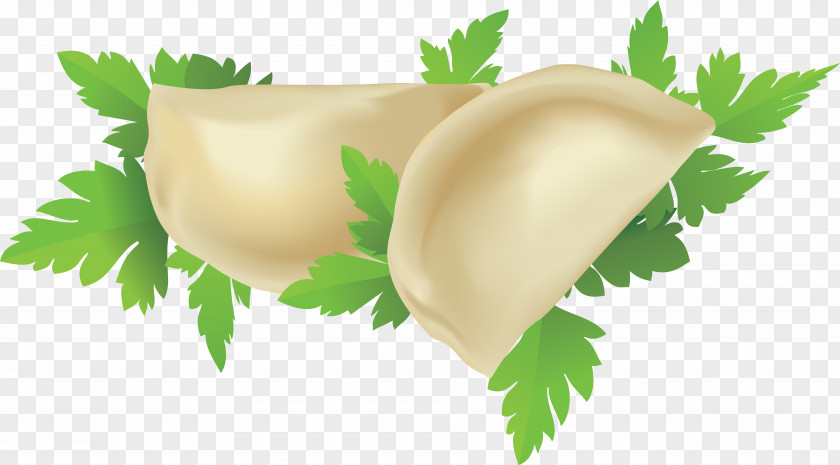 Dumplings Pelmeni Vector Graphics Clip Art Dumpling PNG