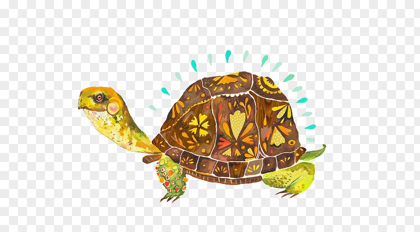 Painted Turtle Paper Artist Painting PNG