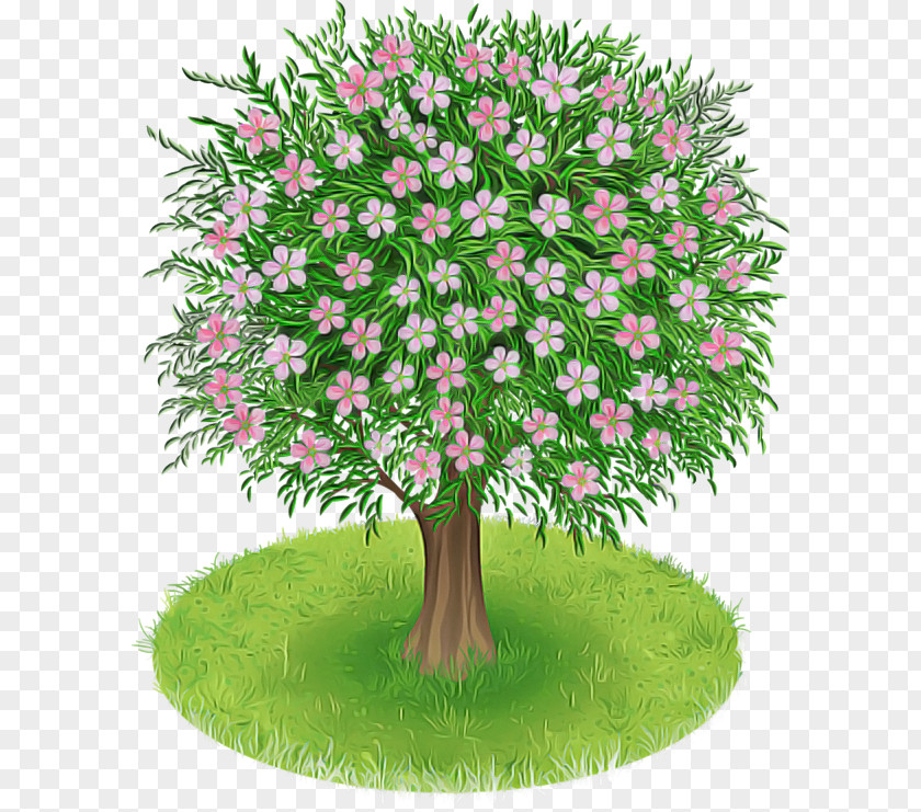 Tree Plant Grass Green Flower PNG