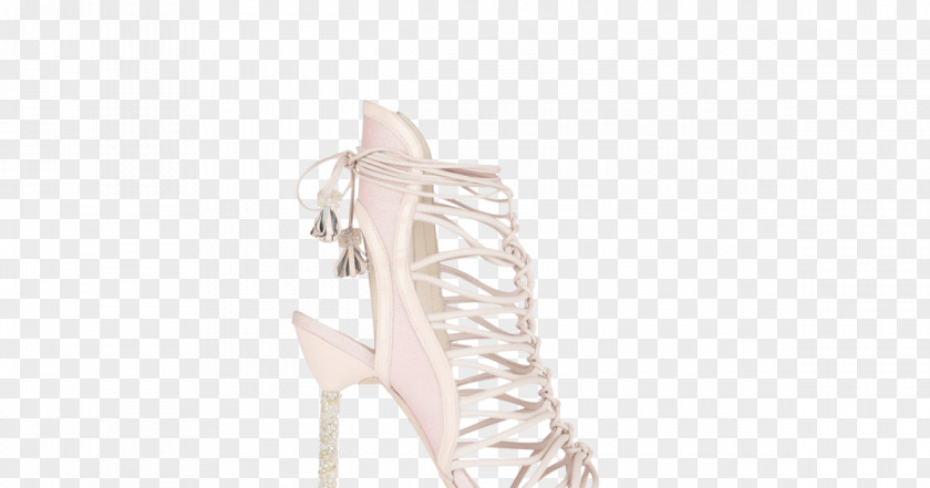 Webster Street Sandal High-heeled Shoe Clothing Walking PNG