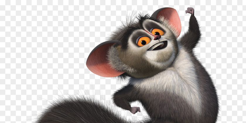 All Hail King Julien Mort Skipper Lemurs YouTube PNG