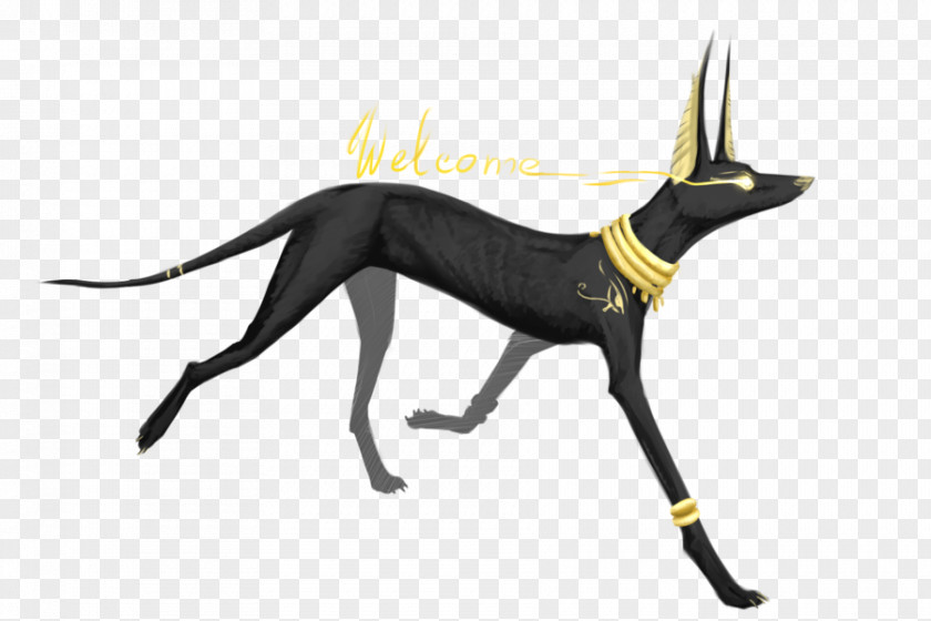 Anubis Pack Basior Dog Ancient Egypt PNG