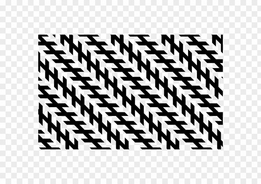 Brain An Optical Illusion Optics Visual Perception PNG