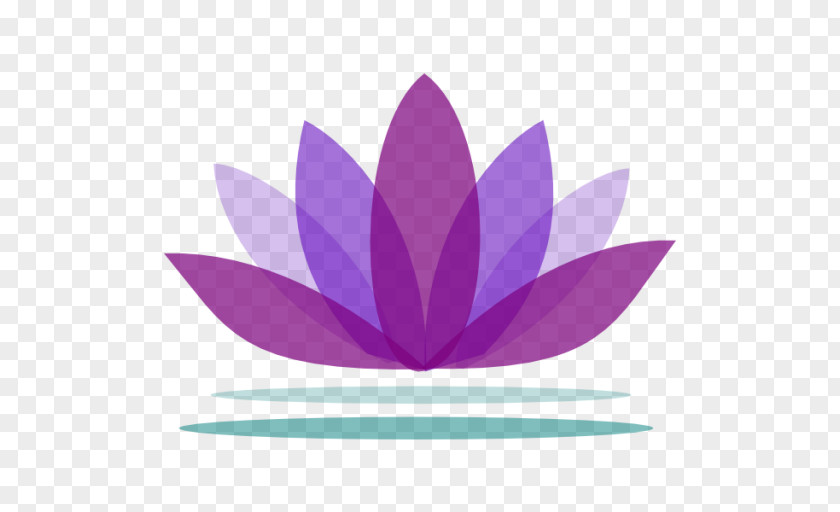 Buddhist Lotus Nelumbo Nucifera Desktop Wallpaper Clip Art PNG