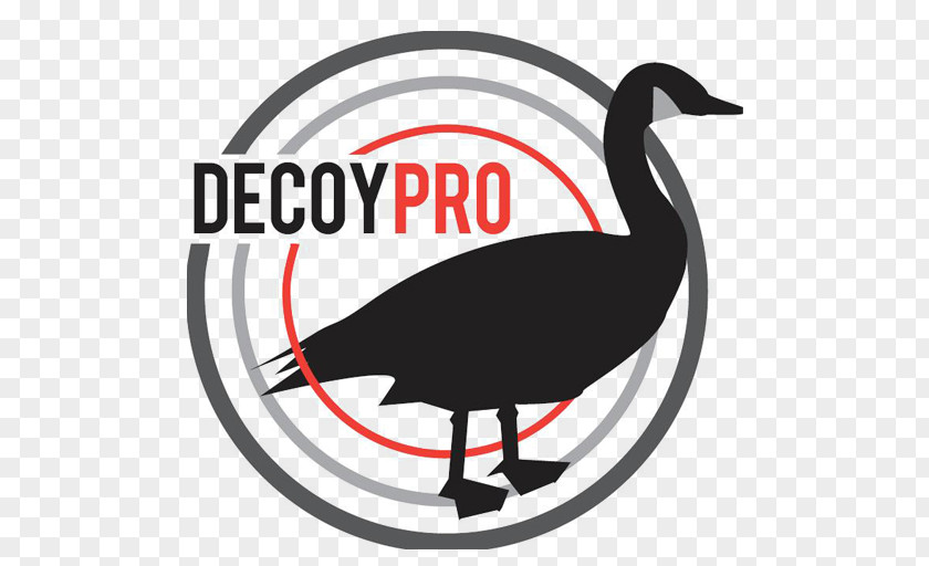 Goose Hunting Duck Waterfowl Decoy PNG