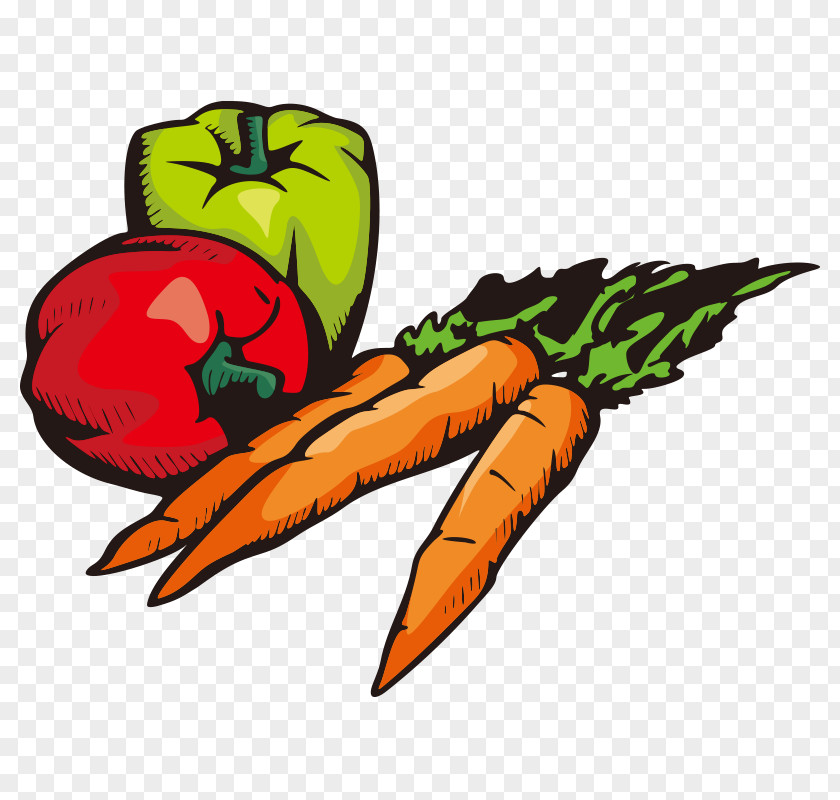 Vegetables,Fruits And Vegetables,Green,fruit,vegetables Raw Foodism Vegetable Breakfast Vegetarianism Fruit PNG