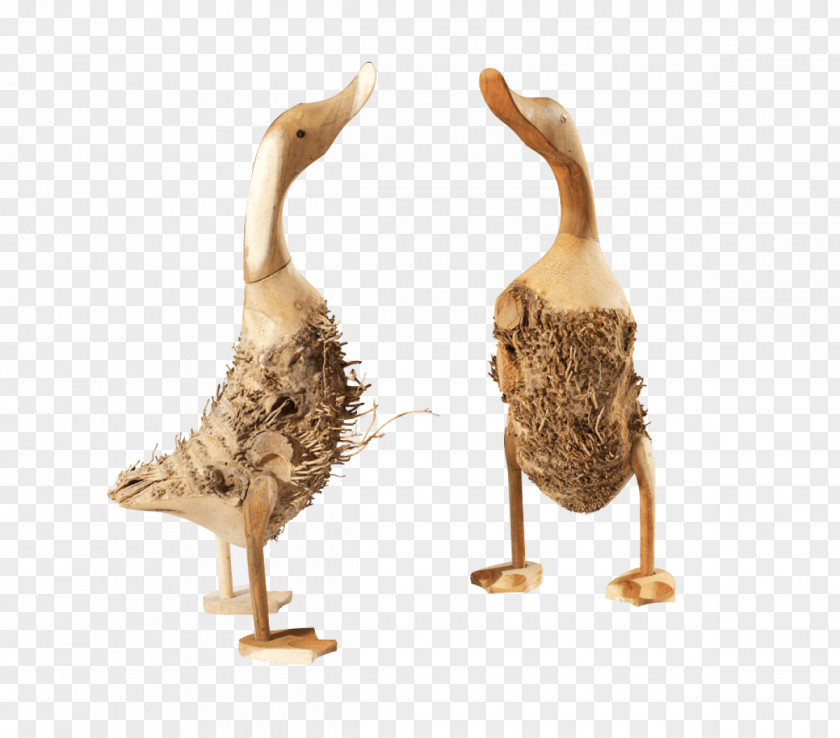 Wood Table Duck Goose Water Bird Anatidae PNG