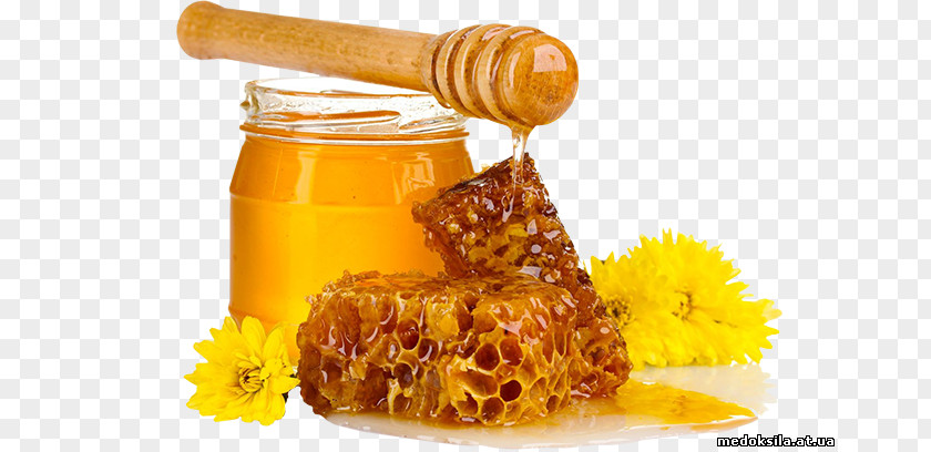 Honey Bee Breakfast Sugar Food PNG