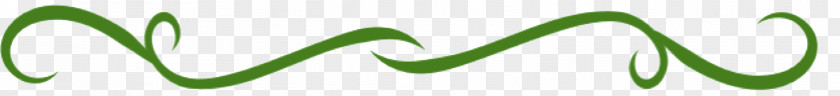 Leaf Logo Grasses Desktop Wallpaper Font PNG
