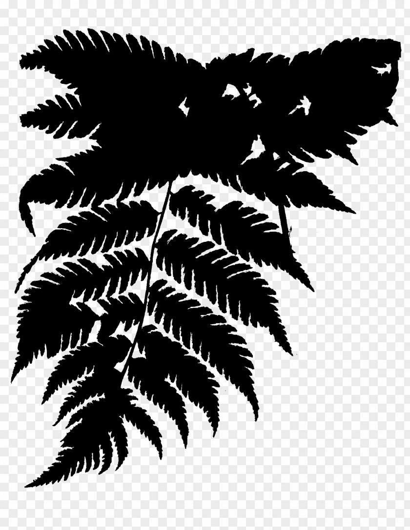 M Font Silhouette Leaf Black & White PNG