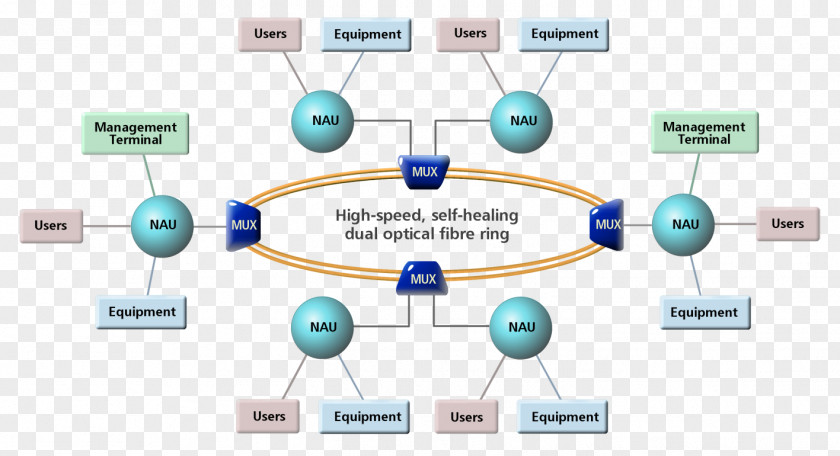 Ring Diagram Computer Network Organization Brand PNG