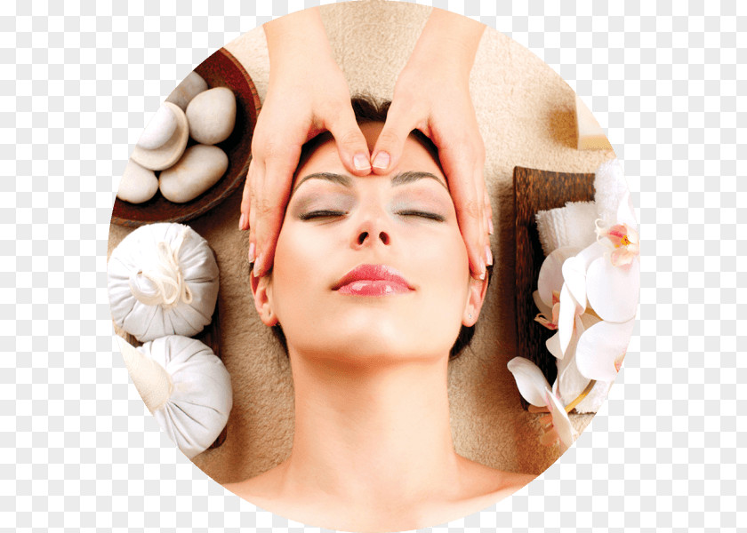 Rosa Mosqueta Massage Therapy VL Aesthetics Skin Care Facial PNG
