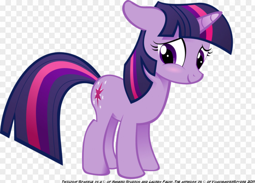 Twilight Sparkle Pony Pinkie Pie Rarity Rainbow Dash PNG