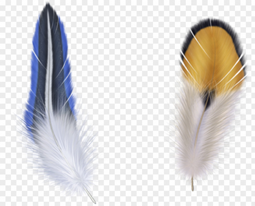 Blue Feather Bird Clip Art PNG