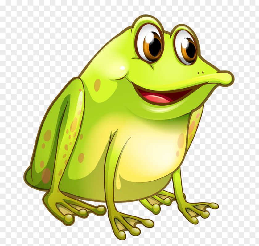 Frog Royalty-free Clip Art PNG