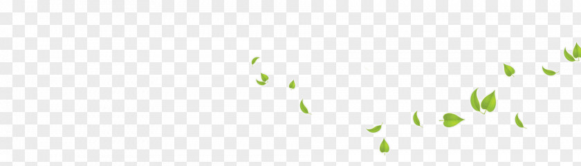Green Leaves Transparent Background Brand Pattern PNG