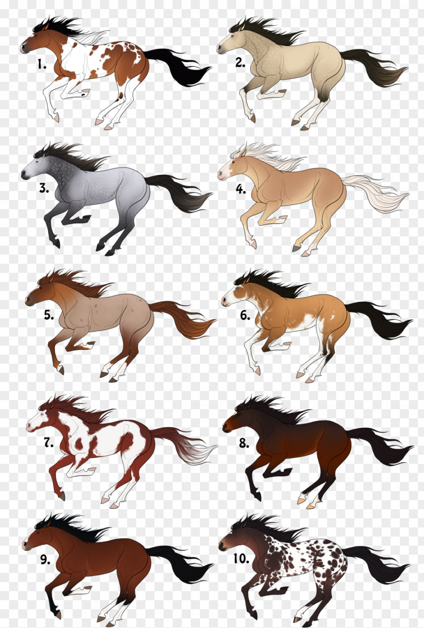 Mustang Pony Stallion Mane Pack Animal PNG