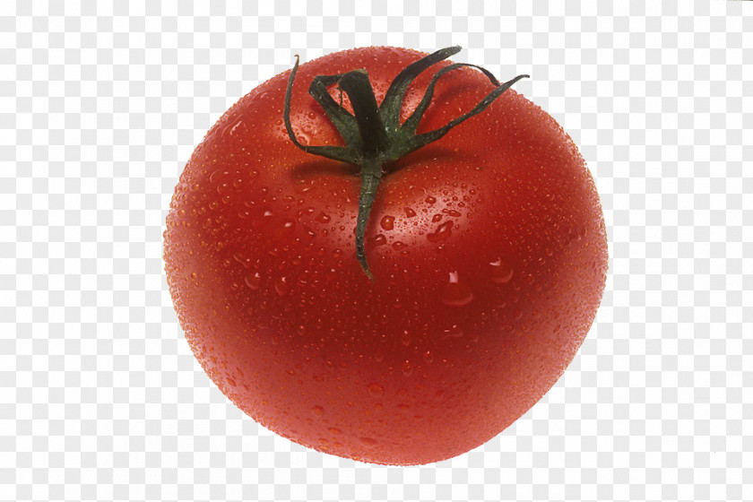 Tomato Plum Bush Fruit Food PNG