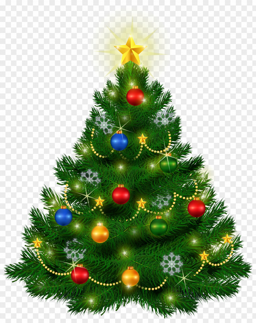 Beautiful Christmas Tree Clipart Image Clip Art PNG