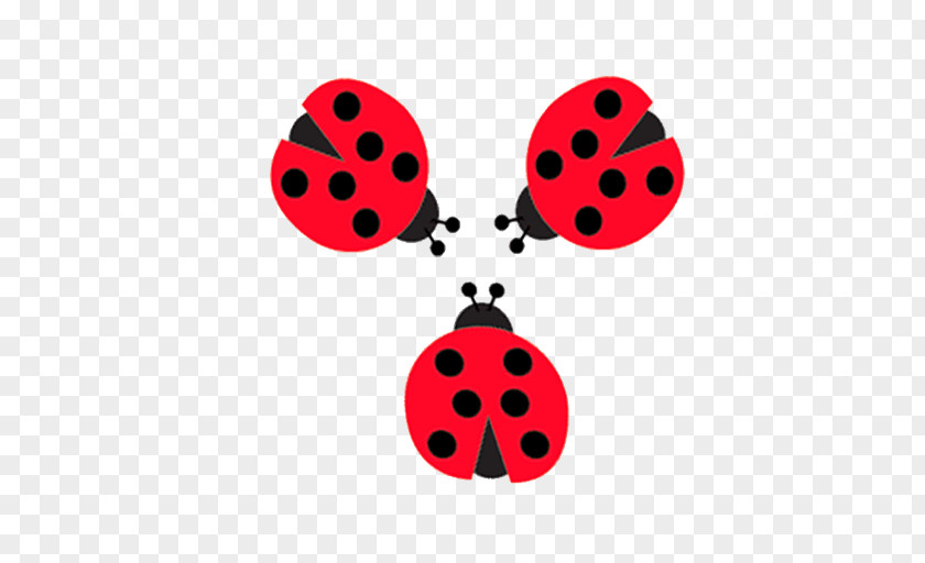 Beetle Ladybird Clip Art Graphics Image PNG