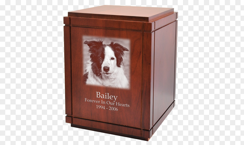 Dog Urn Pet Wood Cremation PNG