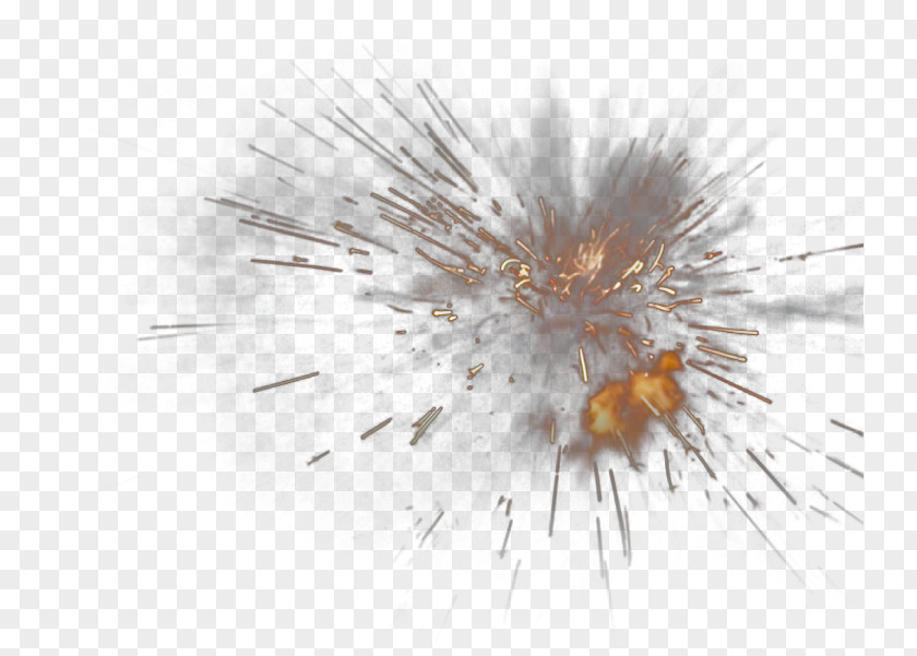 Explosion Insect Close-up Pest Computer Wallpaper PNG