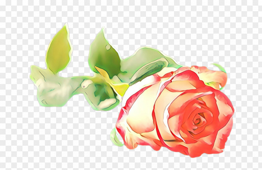 Floribunda Artificial Flower Floral Background PNG