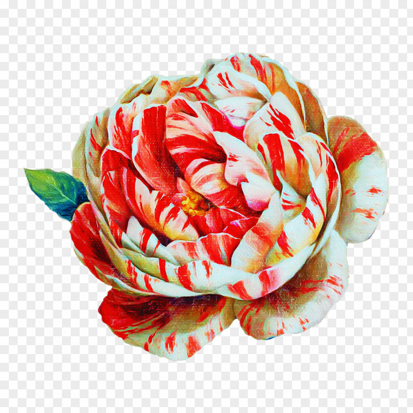 Garden Roses PNG