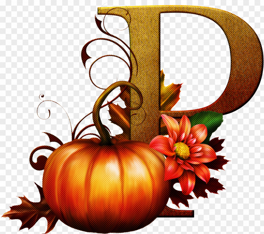 Gourd Autumn Pumpkin PNG