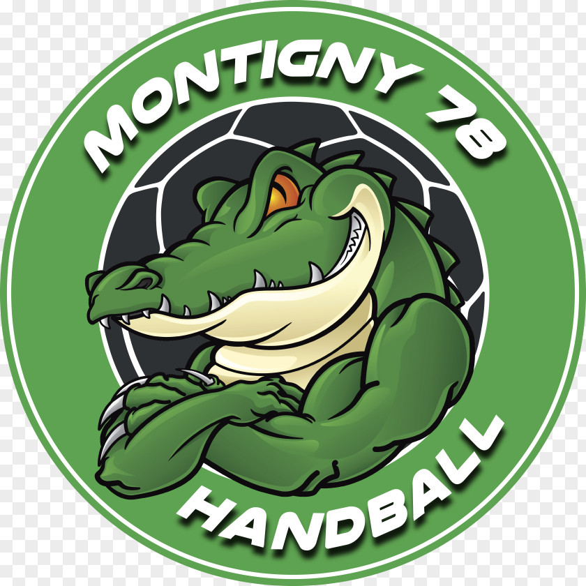 Handball As. Montigny Le Bretonneux AS Montigny-le-Bretonneux Male Goal PNG