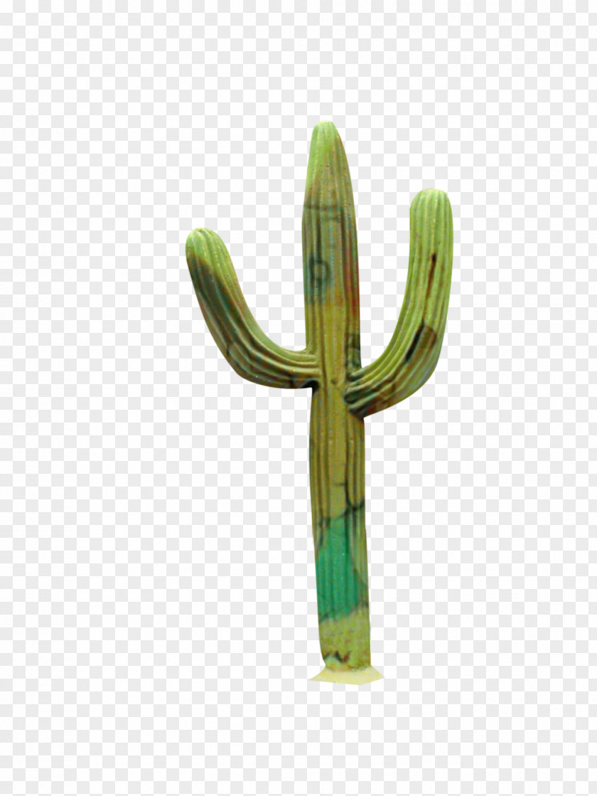Hedgehog Cactus Symbol Cartoon PNG