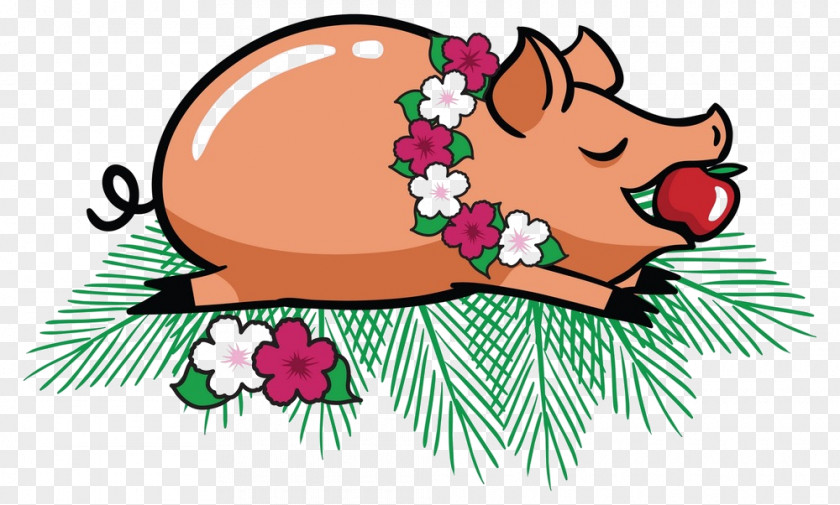 Plant Holly Pig Cartoon PNG