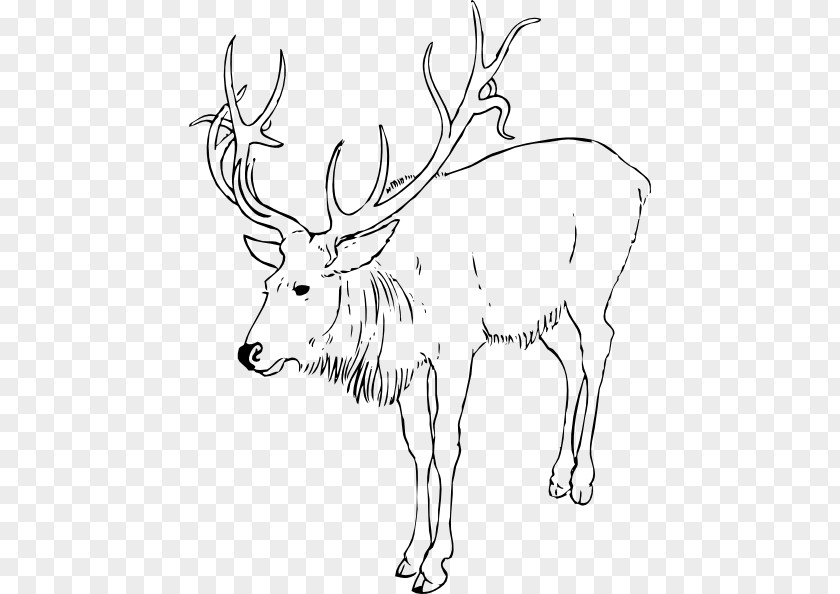 Realistic Reindeer Cliparts Rudolph Antler Clip Art PNG