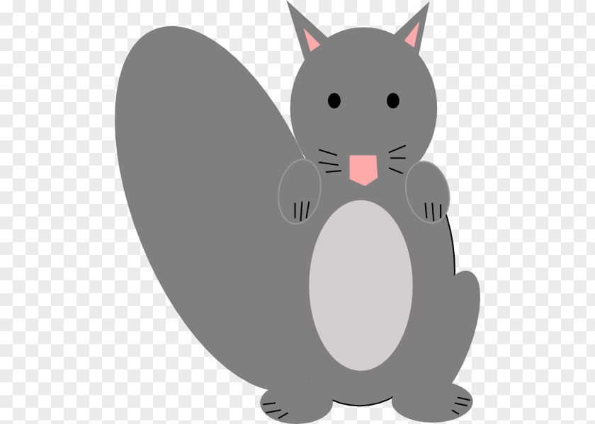 Squirrel Eastern Gray Raccoon Clip Art PNG