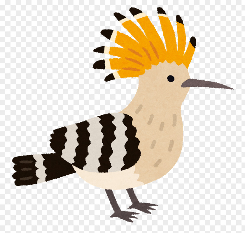 Chicken Illustration Bird Beak Clip Art PNG