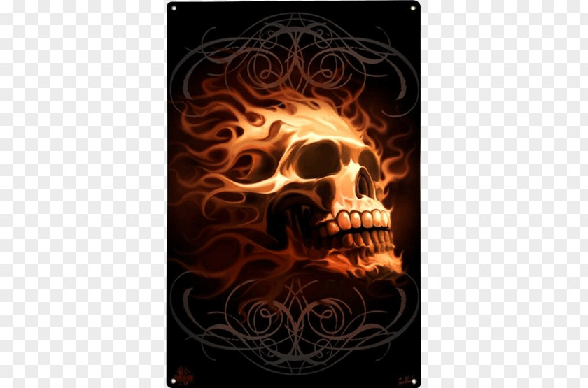 Skull Of A Skeleton With Burning Cigarette Human Symbolism Poster Art PNG
