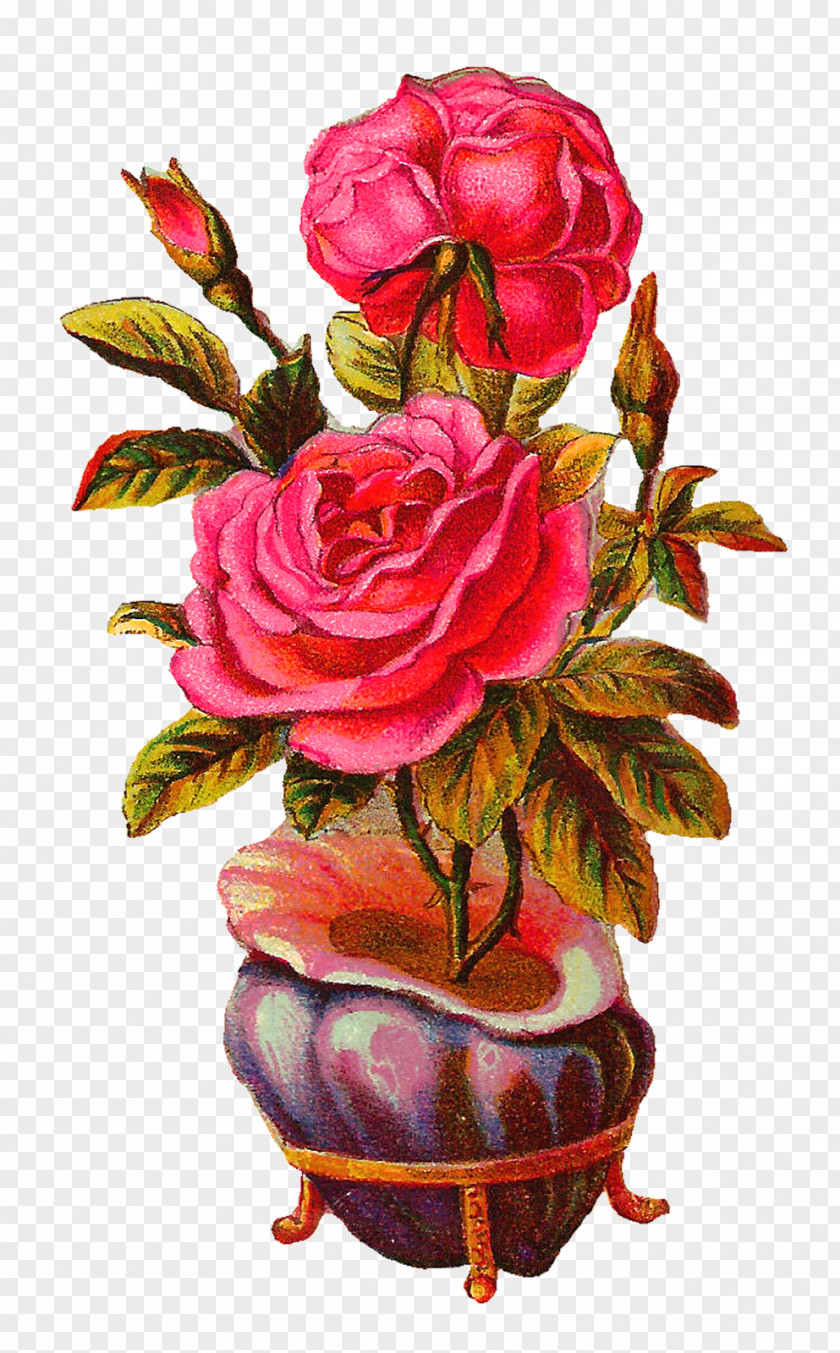 Vase Garden Roses Centifolia Flowerpot Floral Design PNG