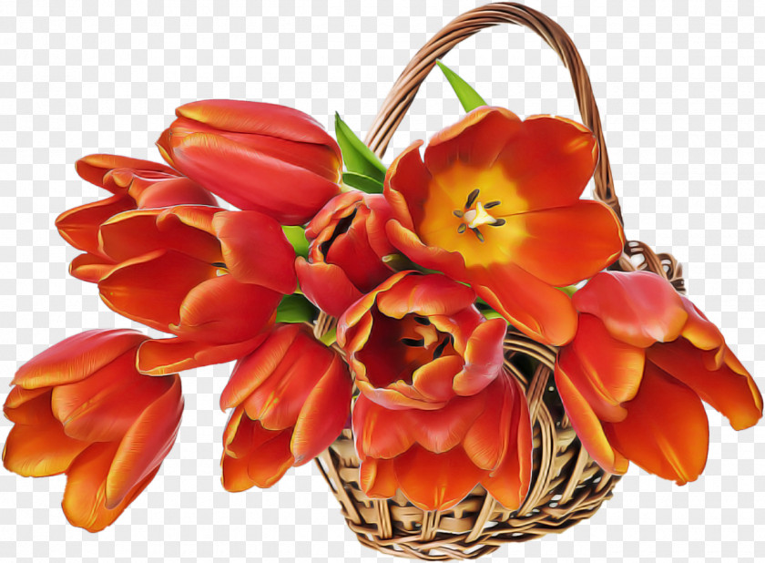 Flowerpot Peach Artificial Flower PNG