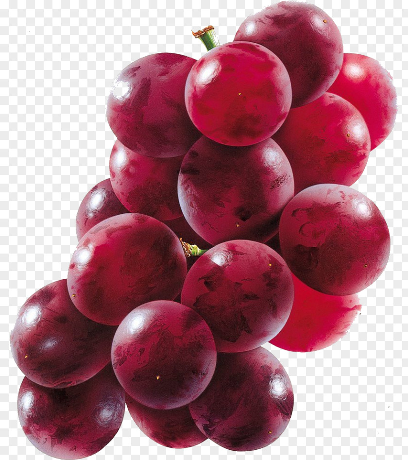 Grape Concord Squash Grapevines Juice PNG