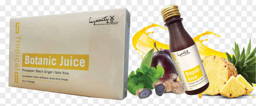 Juice Liqueur Health Drink Superfood PNG