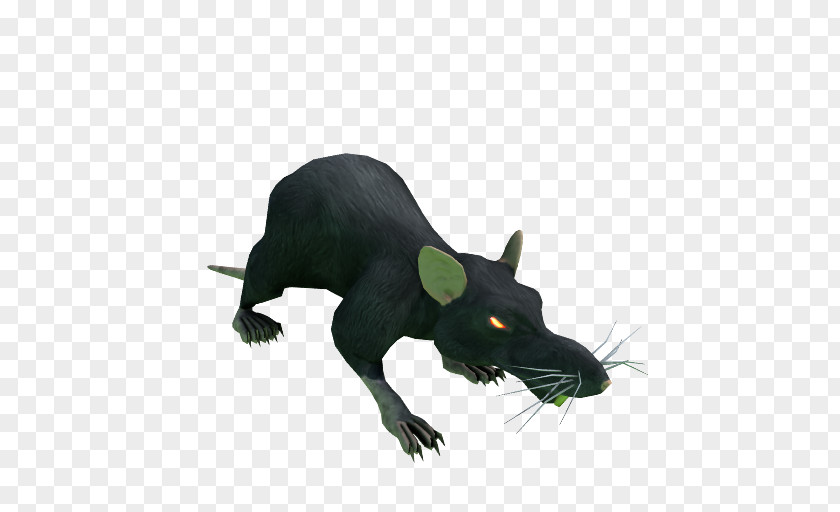 Mouse Whiskers Snout Fauna Wildlife PNG