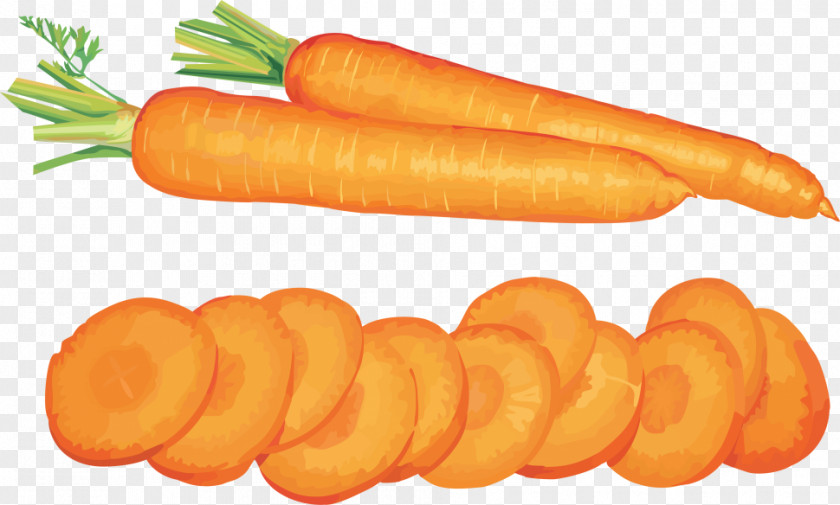 Carrot Silhouette Vegetable Clip Art Salad PNG